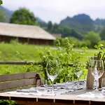 Gasthof Taube Guest house Bizau